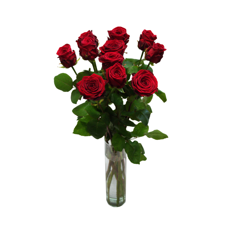 Schnittblumen - Rote Rosen
